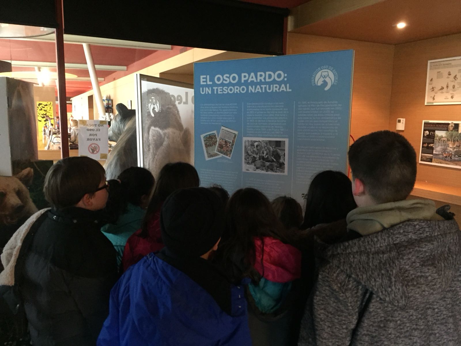 La exposición ‘Osos’ estará en el Parque de la Prehistoria de Teverga hasta julio